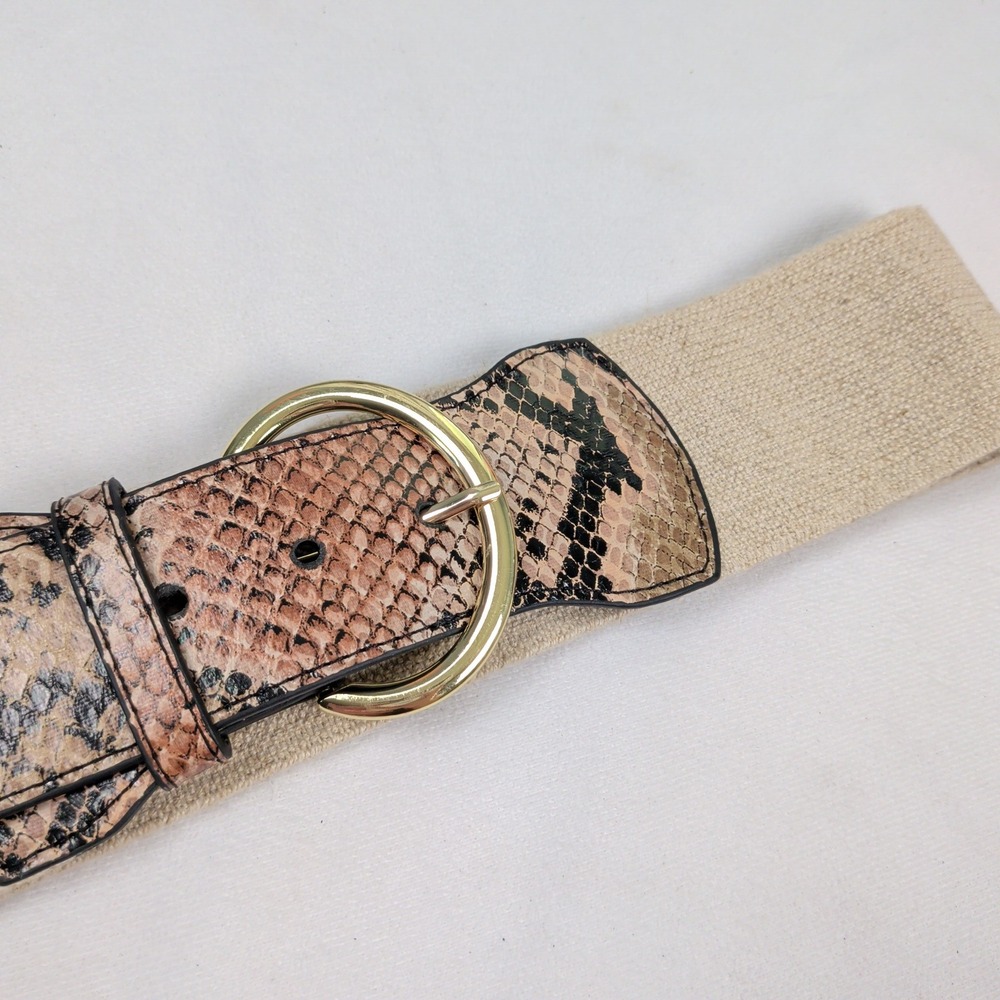 Snakeskin Print Elastic Cinch Waist Belt Gold Buckle‎ Wide Boho Earthy